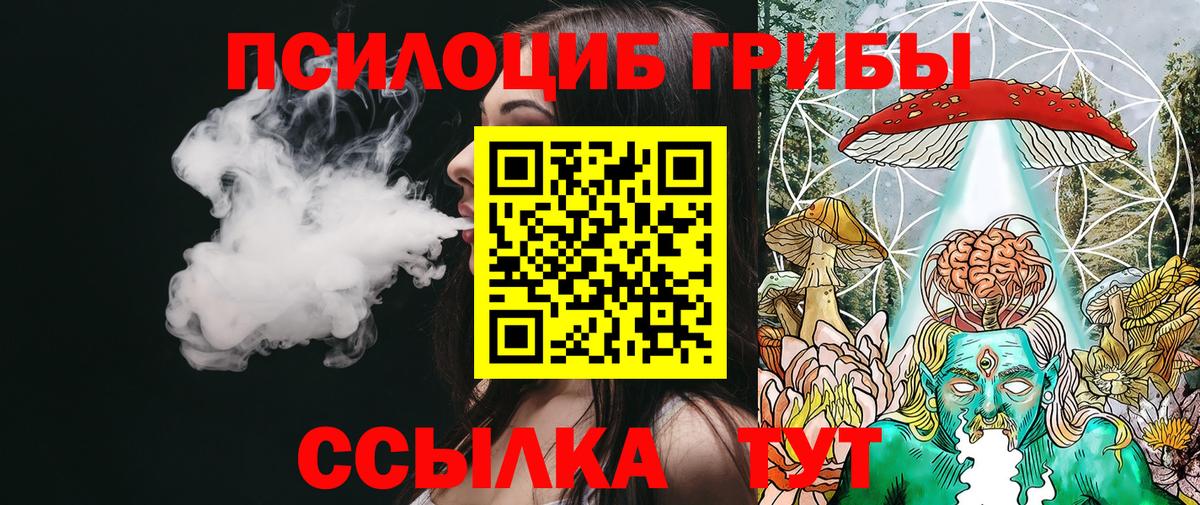 Псилоцибиновые грибы мицелий Озёры