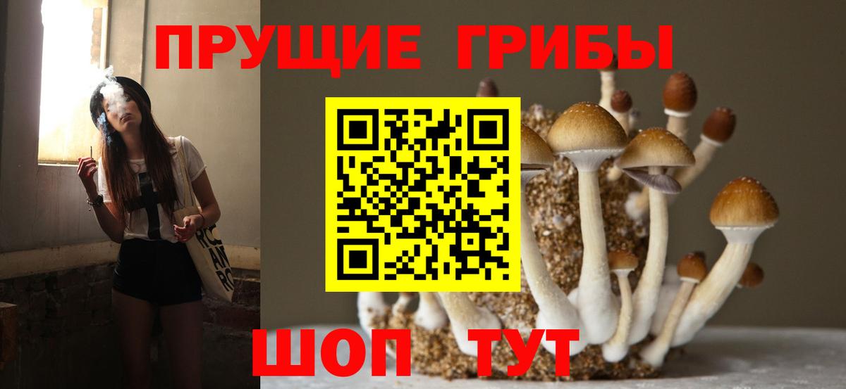 Озёры  сколько стоит  Вход с VPN  Псилоцибиновые грибы Psilocybine cubensis 